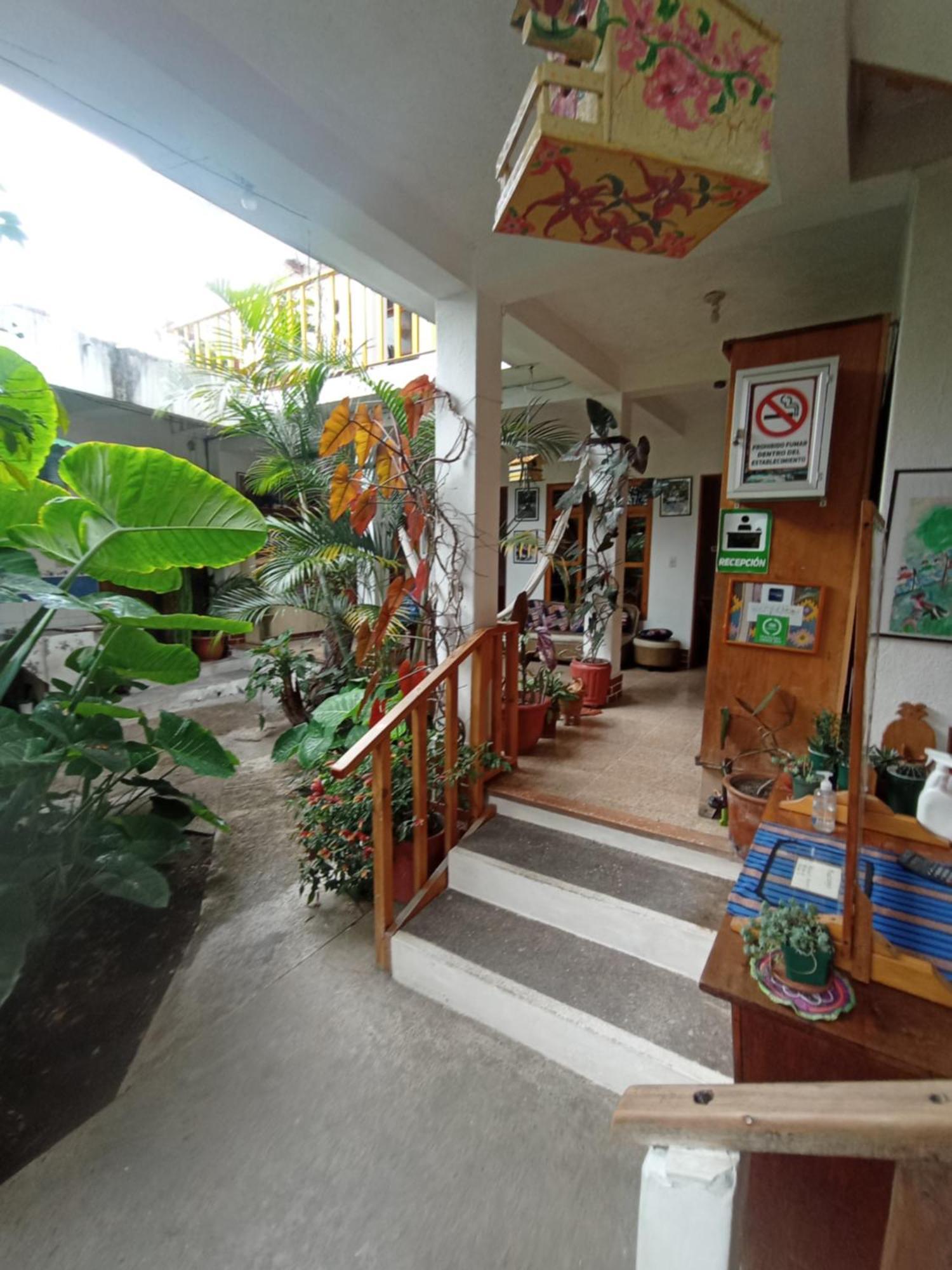 Hostal Mario'S Rooms パナハチェル エクステリア 写真
